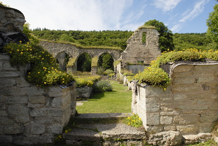 Alvastra klosterruin,cistercienserkloster  nær Vättern-søen i Östergötland, Sverige.