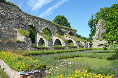 Alvastra klosterruin, cistercienserkloster  nær Vättern-søen i Östergötland, Sverige.