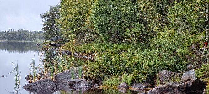 Vesljungasjön