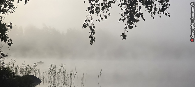 Vesljungasjön