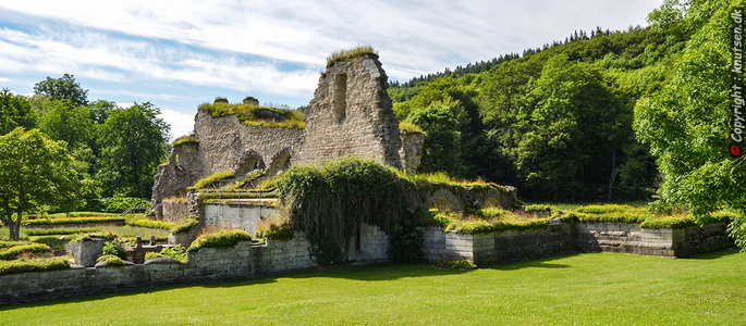 Alvastra klosterruin