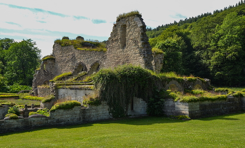 Alvastra klosterruin