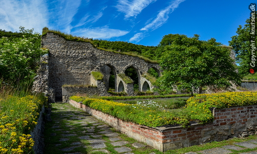 Alvastra klosterruin