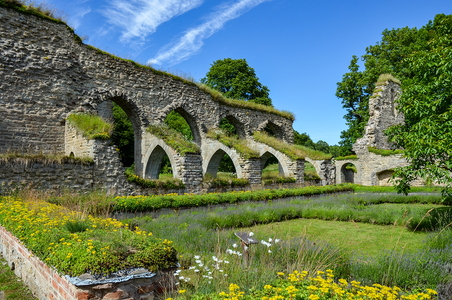 Alvastra klosterruin
