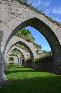Alvastra klosterruin