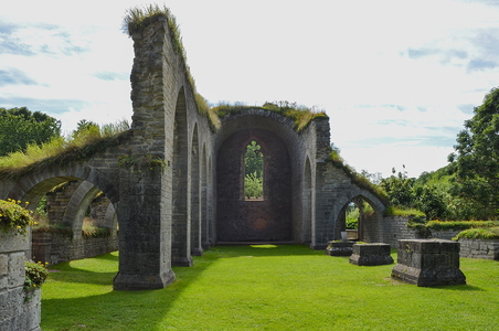Alvastra klosterruin